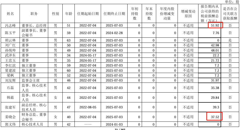 高凌信息2024年業(yè)績巨虧，高管薪酬大幅調整背后的戰(zhàn)略與挑戰(zhàn)